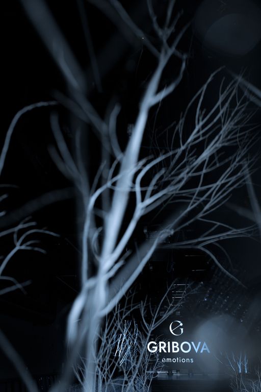 Обложка Большая фотокнига