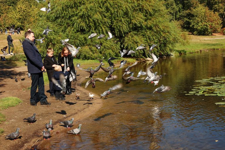 Обложка Большая фотокнига
