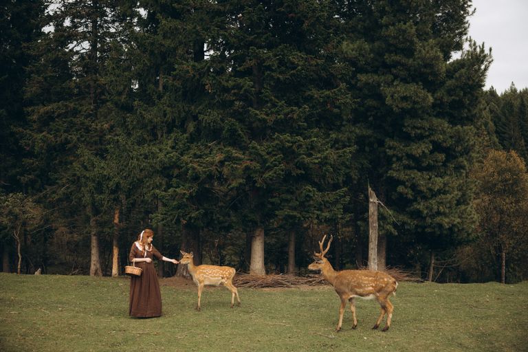 Обложка Большая фотокнига