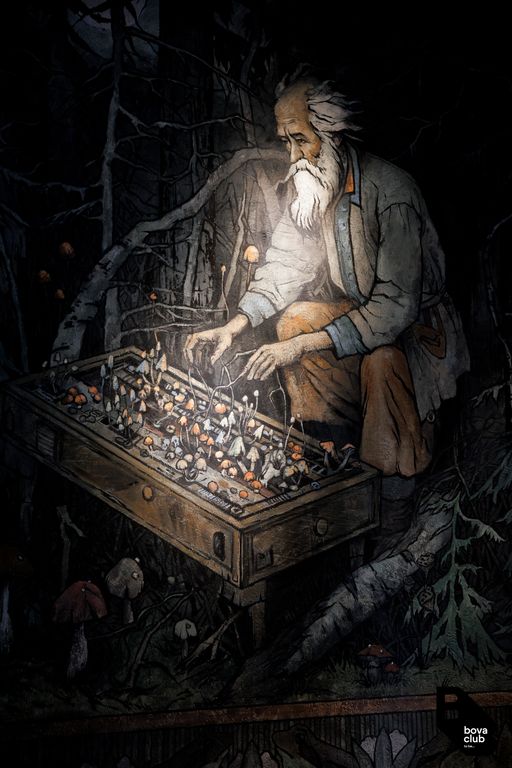 Обложка Большая фотокнига