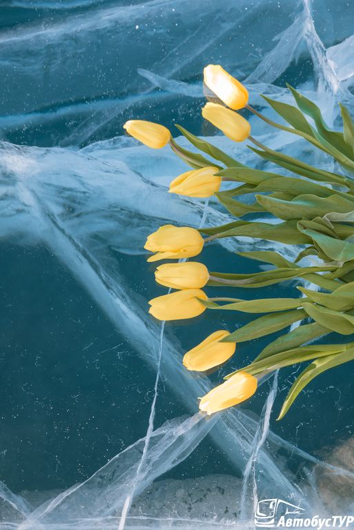 Обложка Большая фотокнига