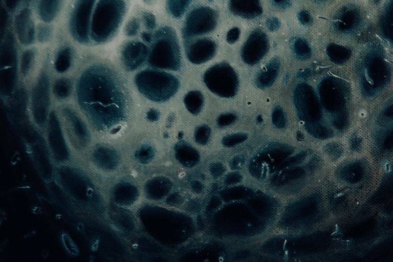 Обложка Большая фотокнига