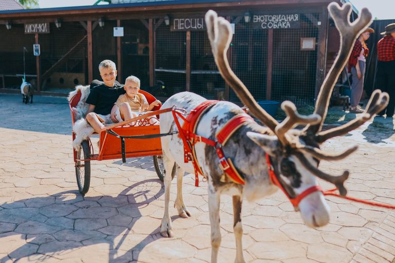 Обложка Большая фотокнига