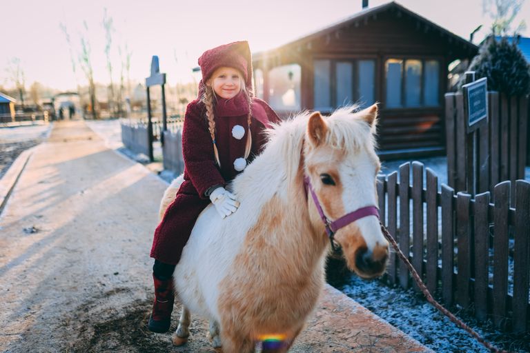 Обложка Большая фотокнига