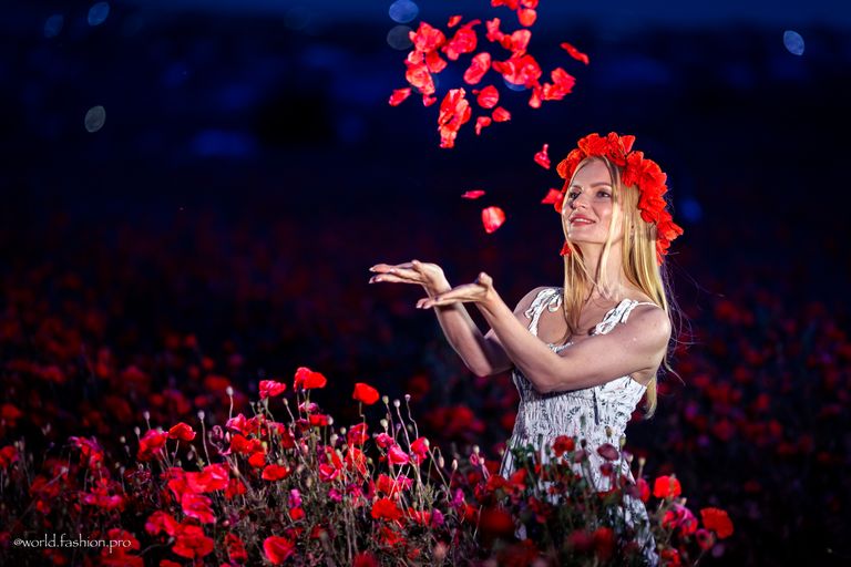 Обложка Большая фотокнига