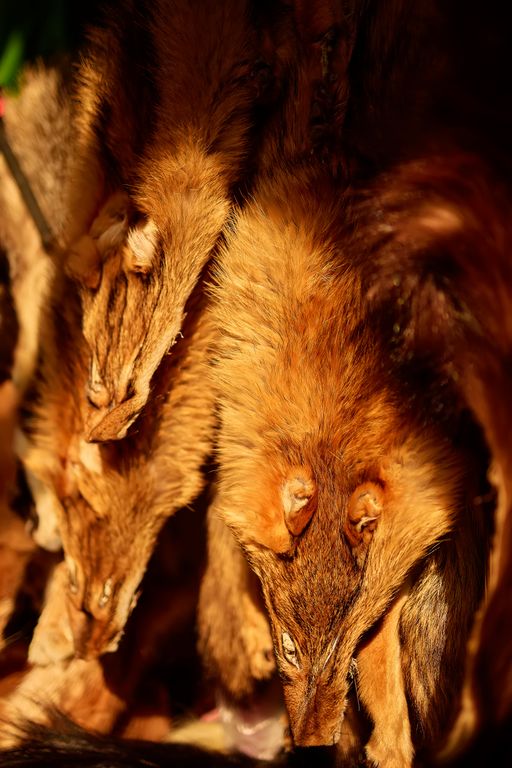 Обложка Большая фотокнига