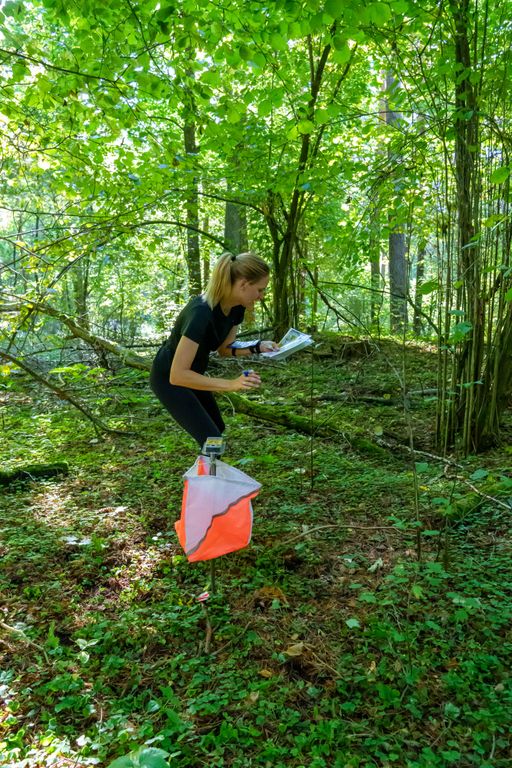 Обложка Большая фотокнига