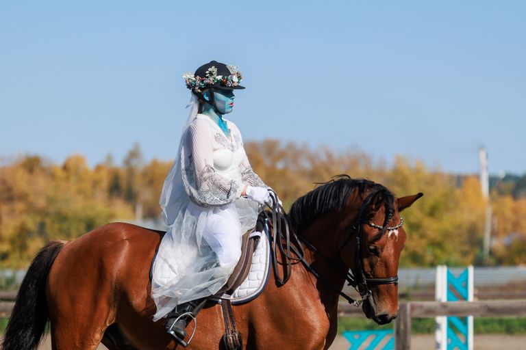 Обложка Большая фотокнига