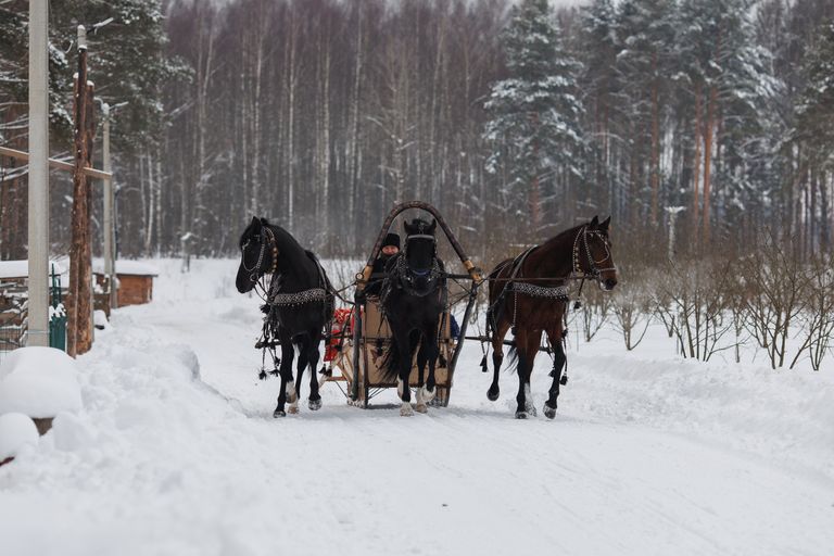 Обложка Большая фотокнига