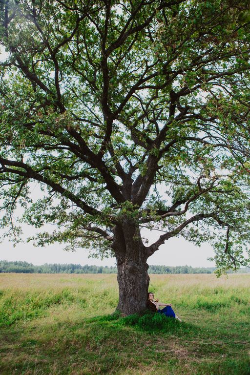 Обложка Большая фотокнига