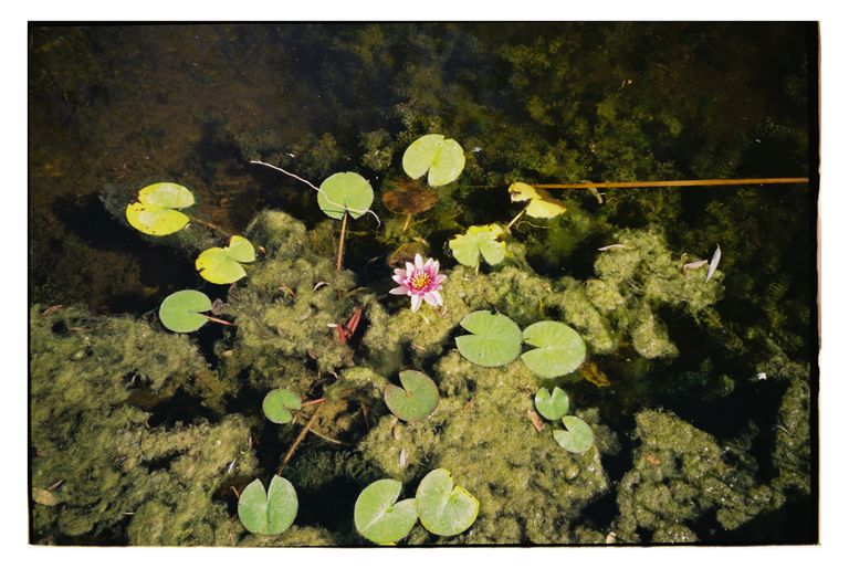 Обложка Большая фотокнига