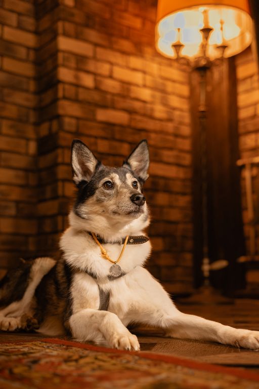 Обложка Большая фотокнига