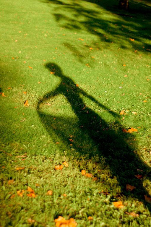 Обложка Большая фотокнига