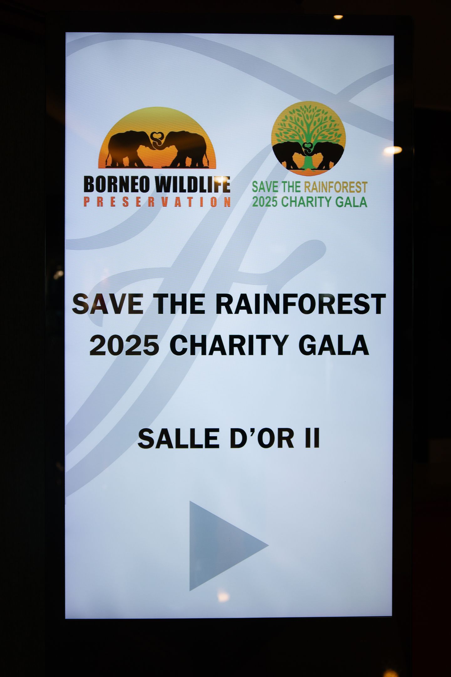 Charity Gala 2025