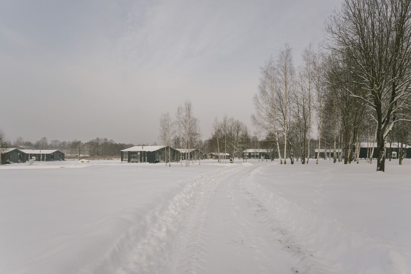 ❅