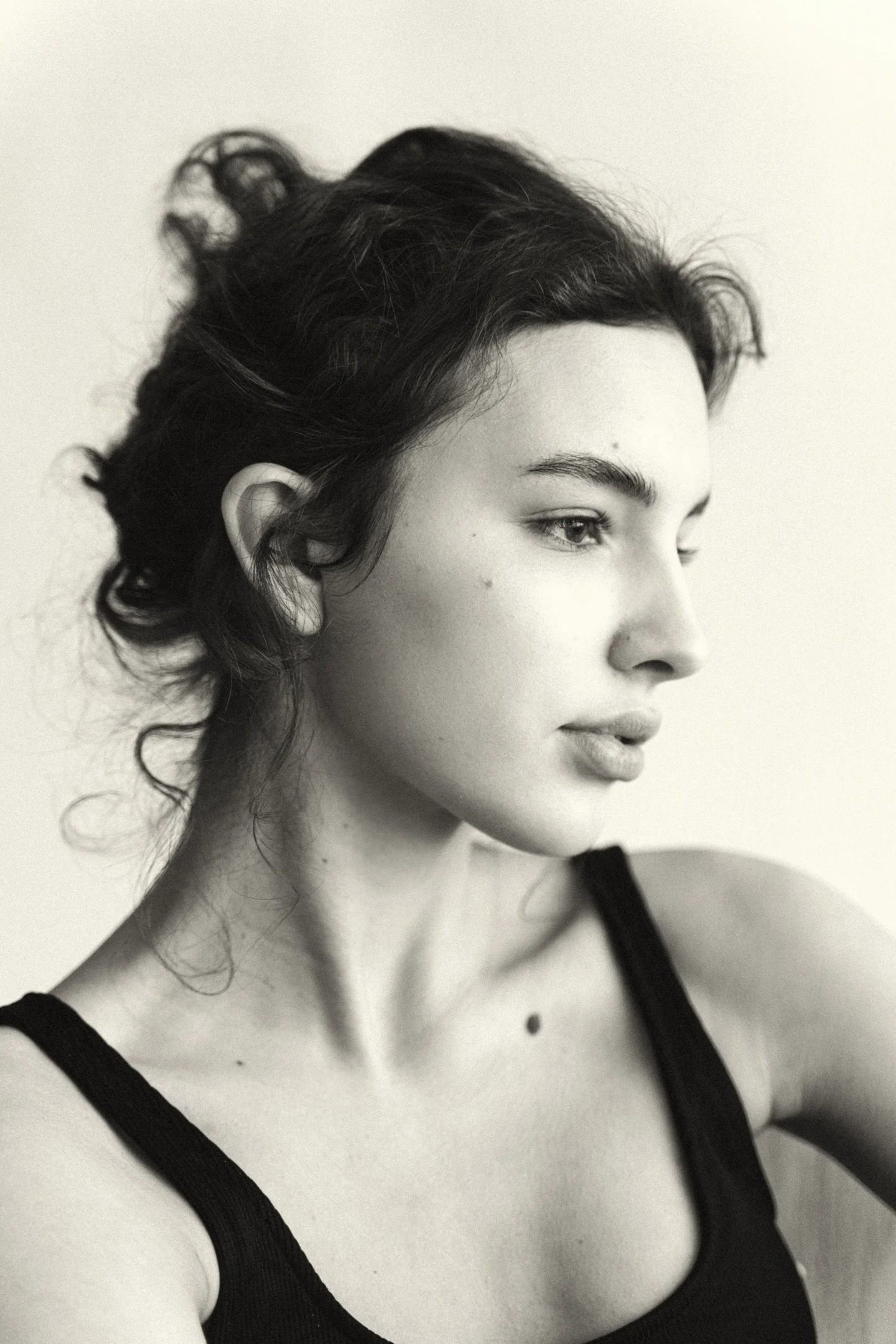 POLINA 21|12