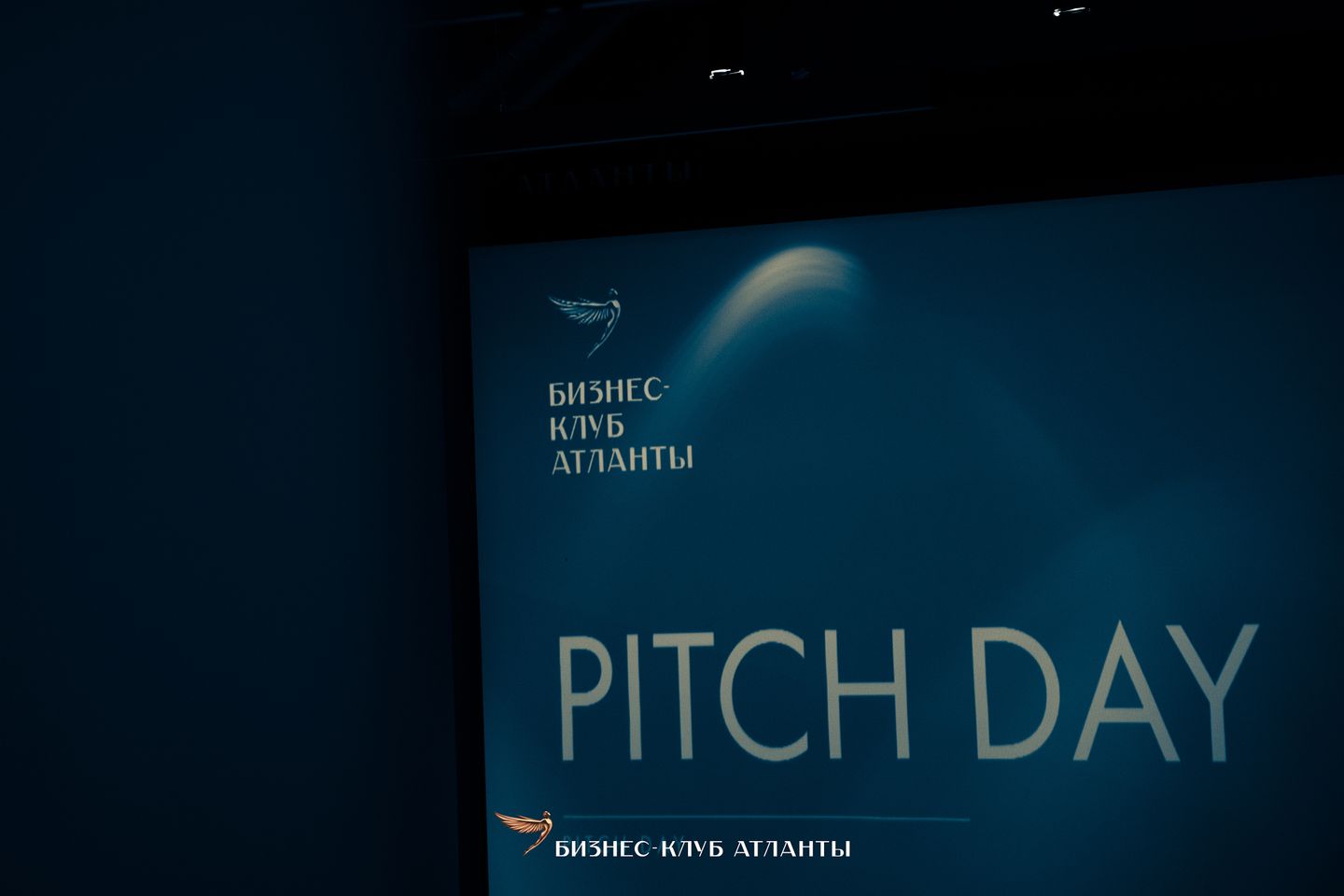 29.05 Pitch Day