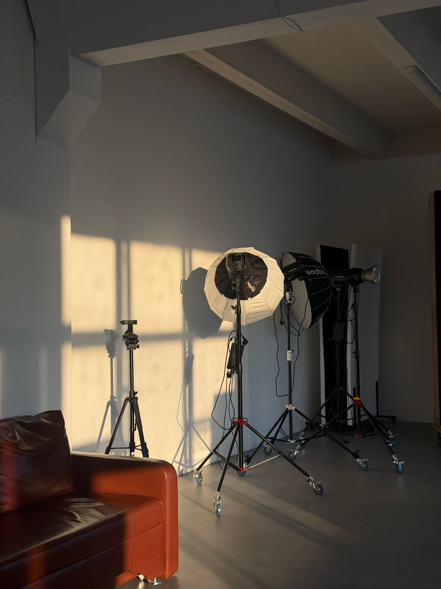 Reels Portfolio 