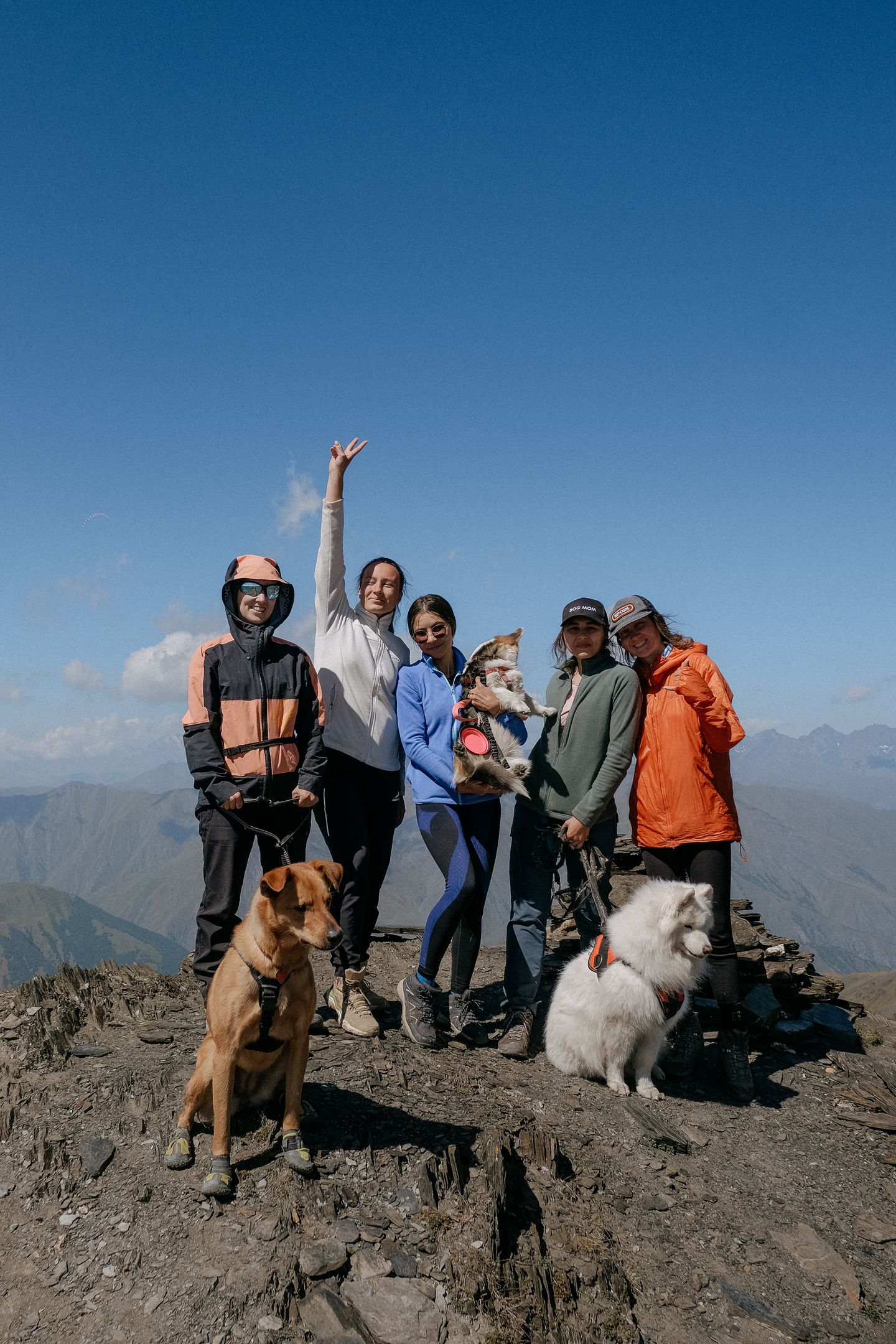 DOG TREKKING ГРУЗИЯ | СЕНТЯБРЬ