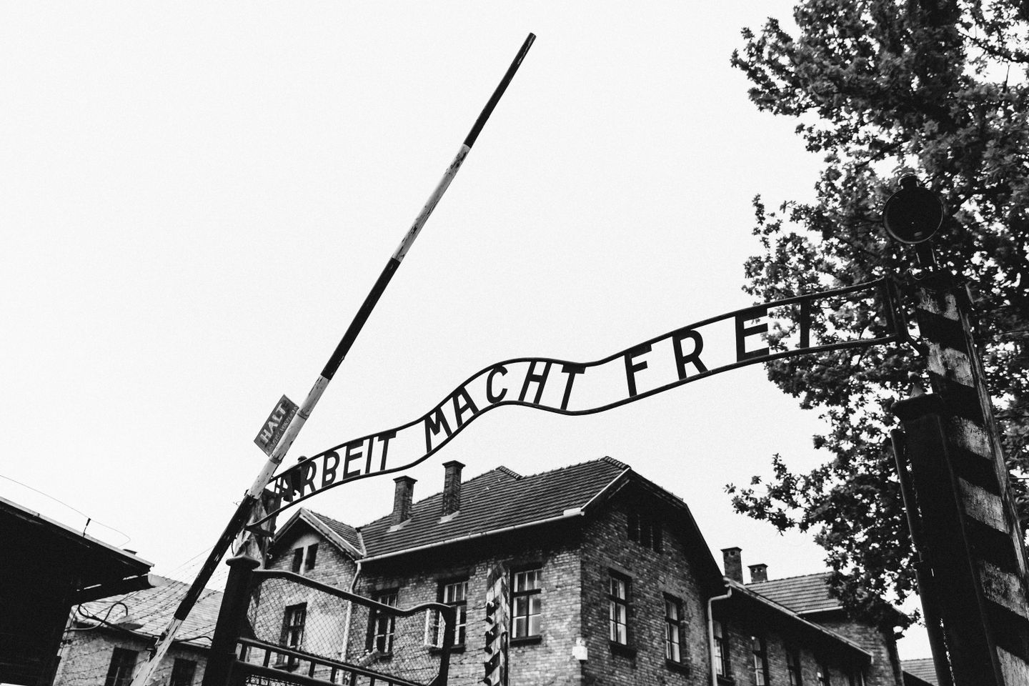 Auschwitz 2016 - The last way