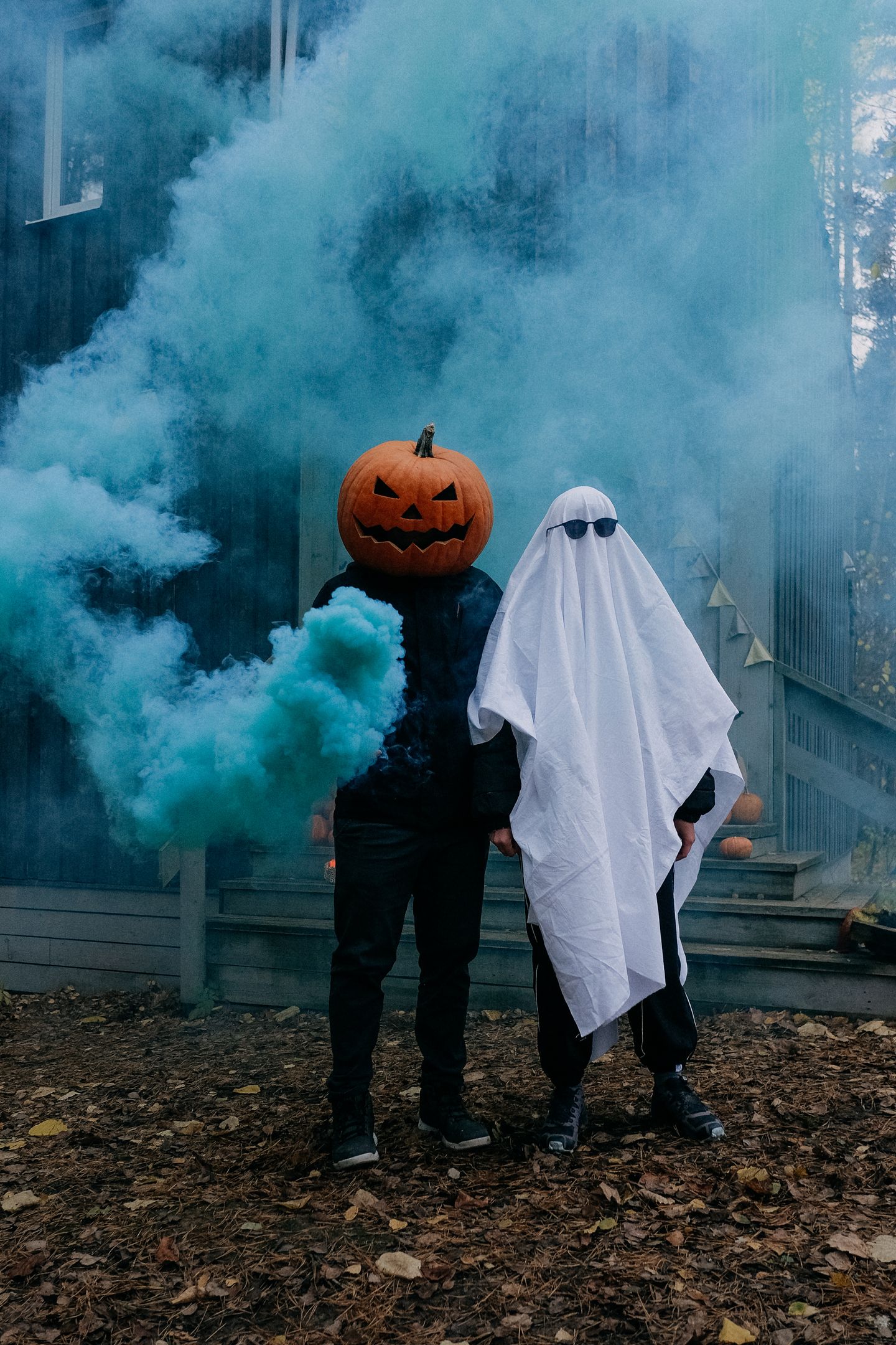 DOG HALLOWEEN СКРЫТОВО
