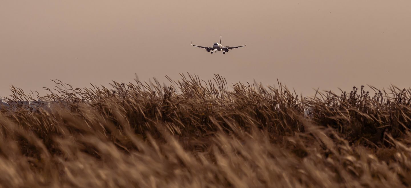 Spotting