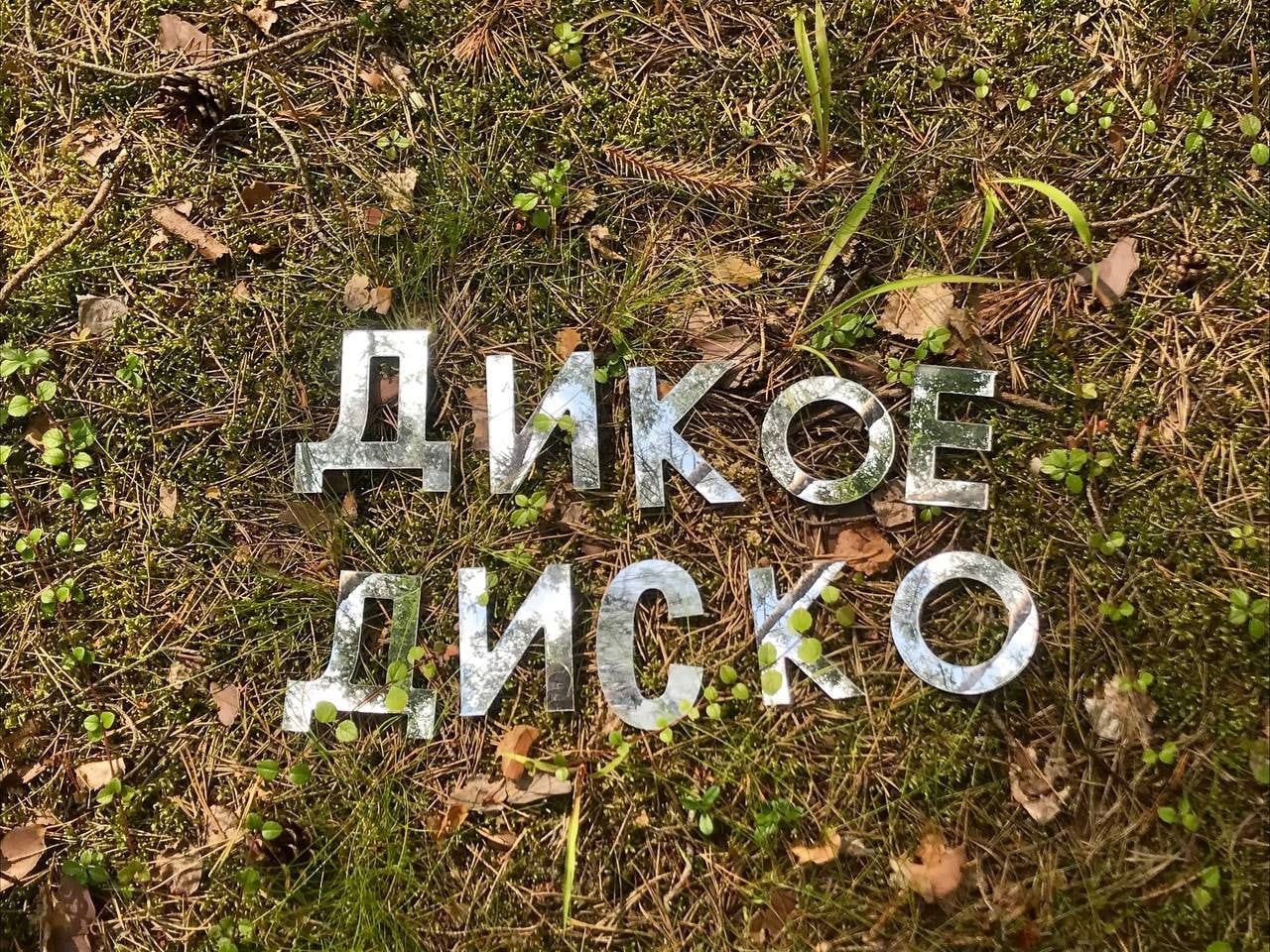 Лес и Звери