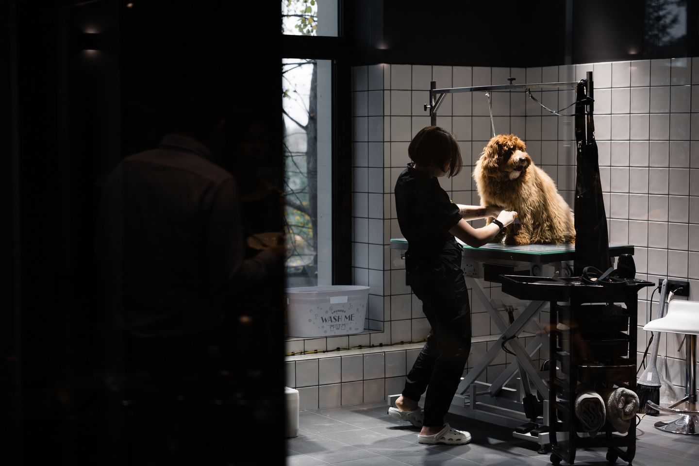 Grooming Salon HEMINGWAY