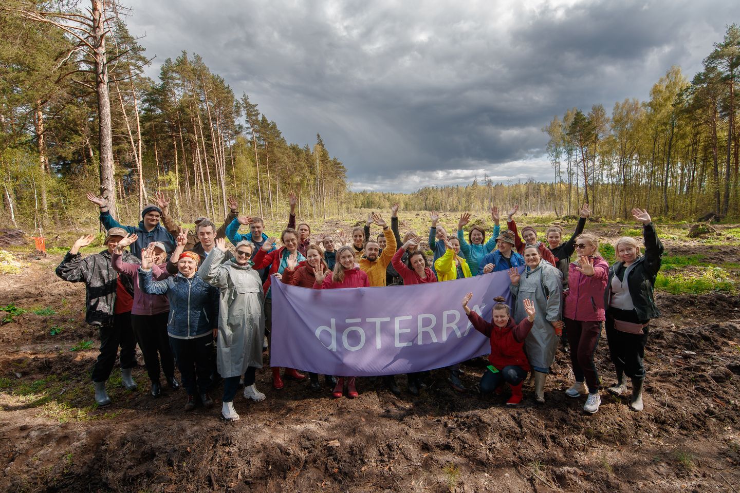 doTerra Посади лес