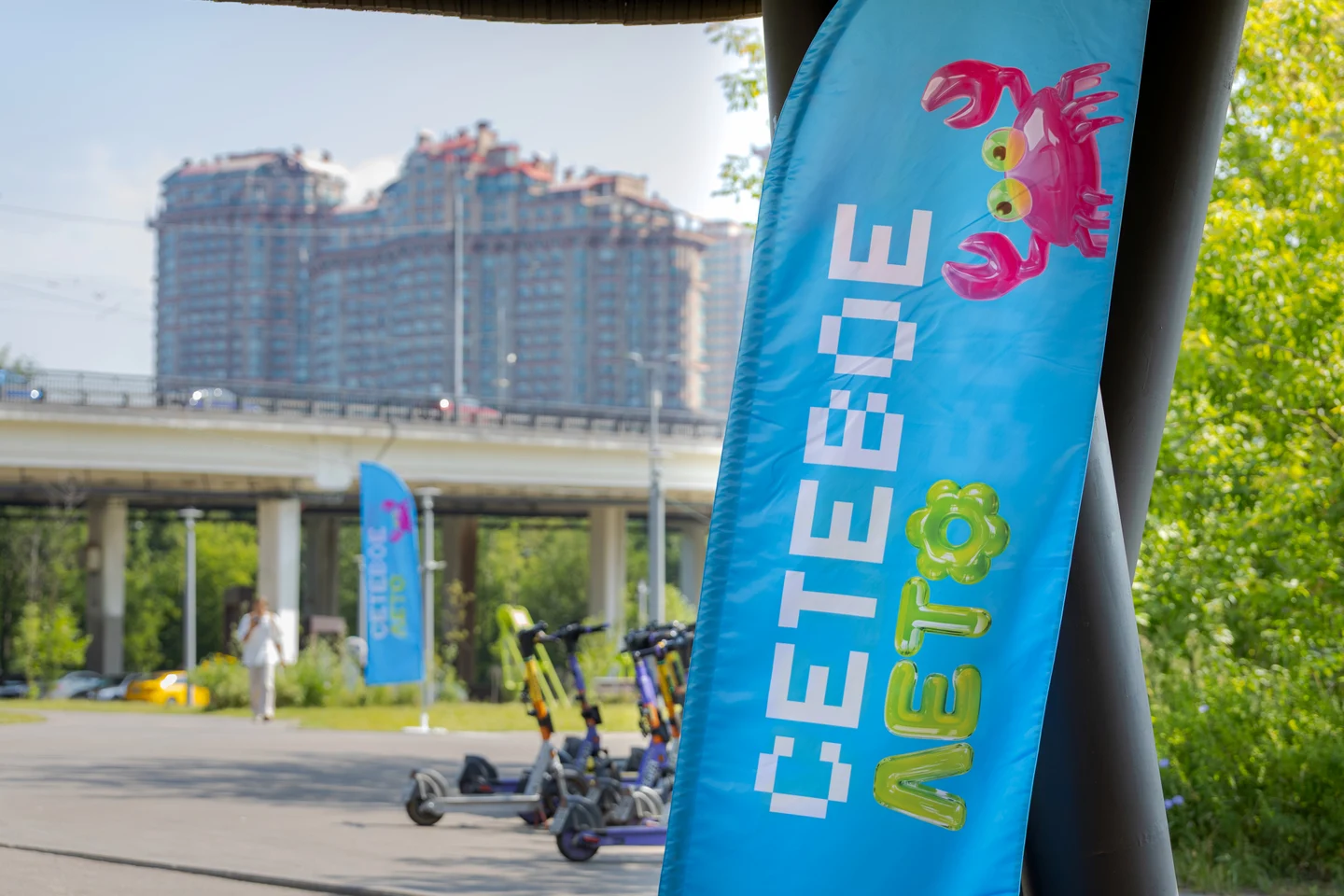 Сетевое Лето | Jet Network Team
