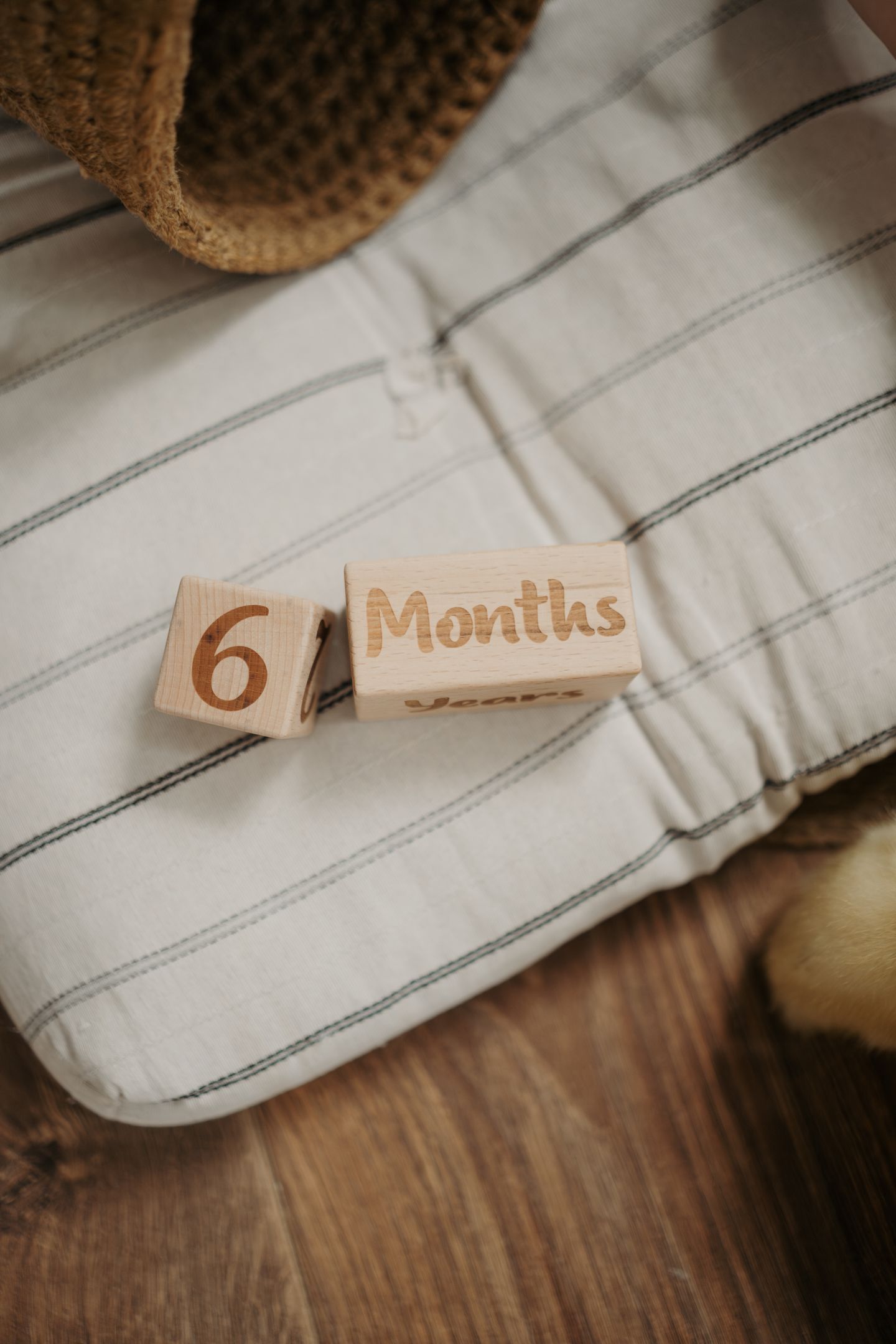 Роде 6 месяцев