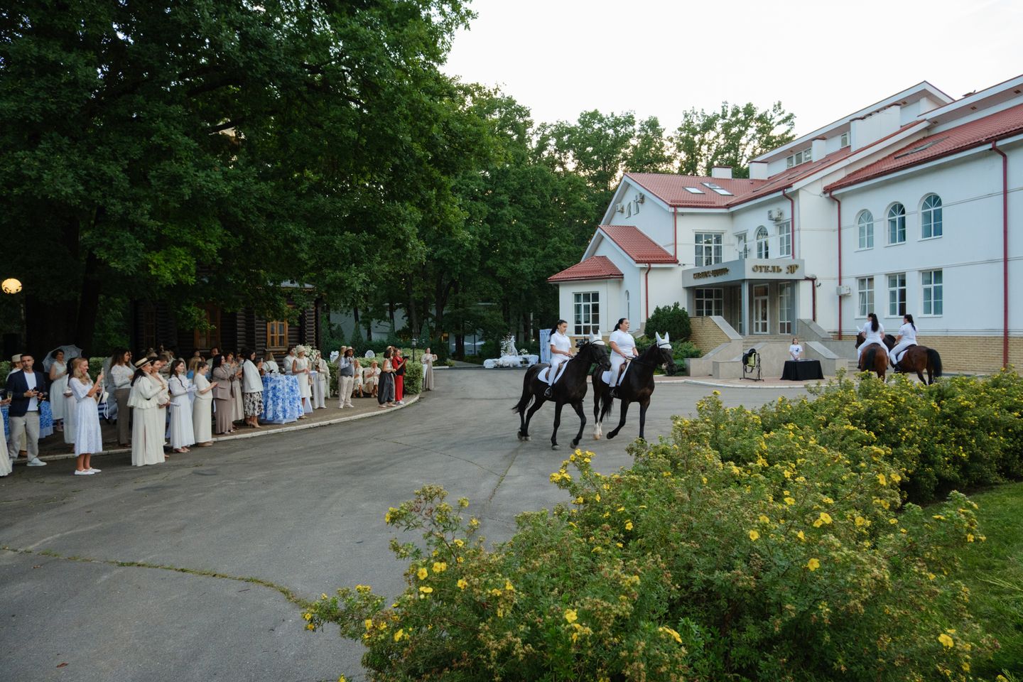 ДЕНЬ КОНЯ