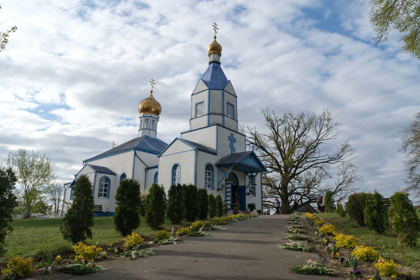 Киселевцы