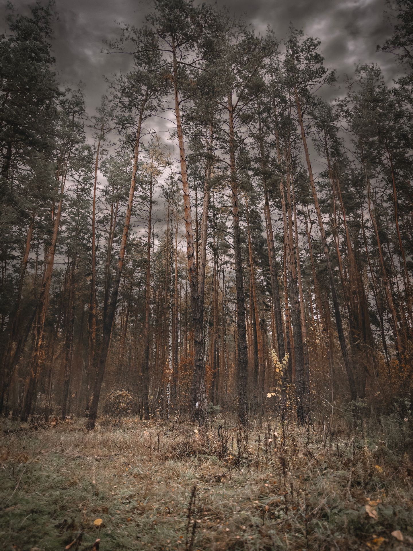 Белоозерск