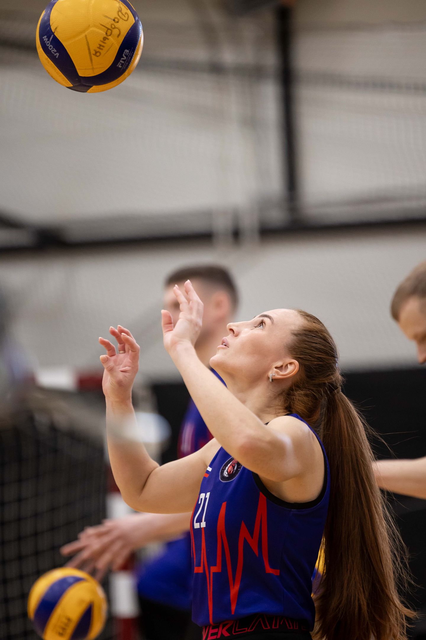 Amateure Volleyball League