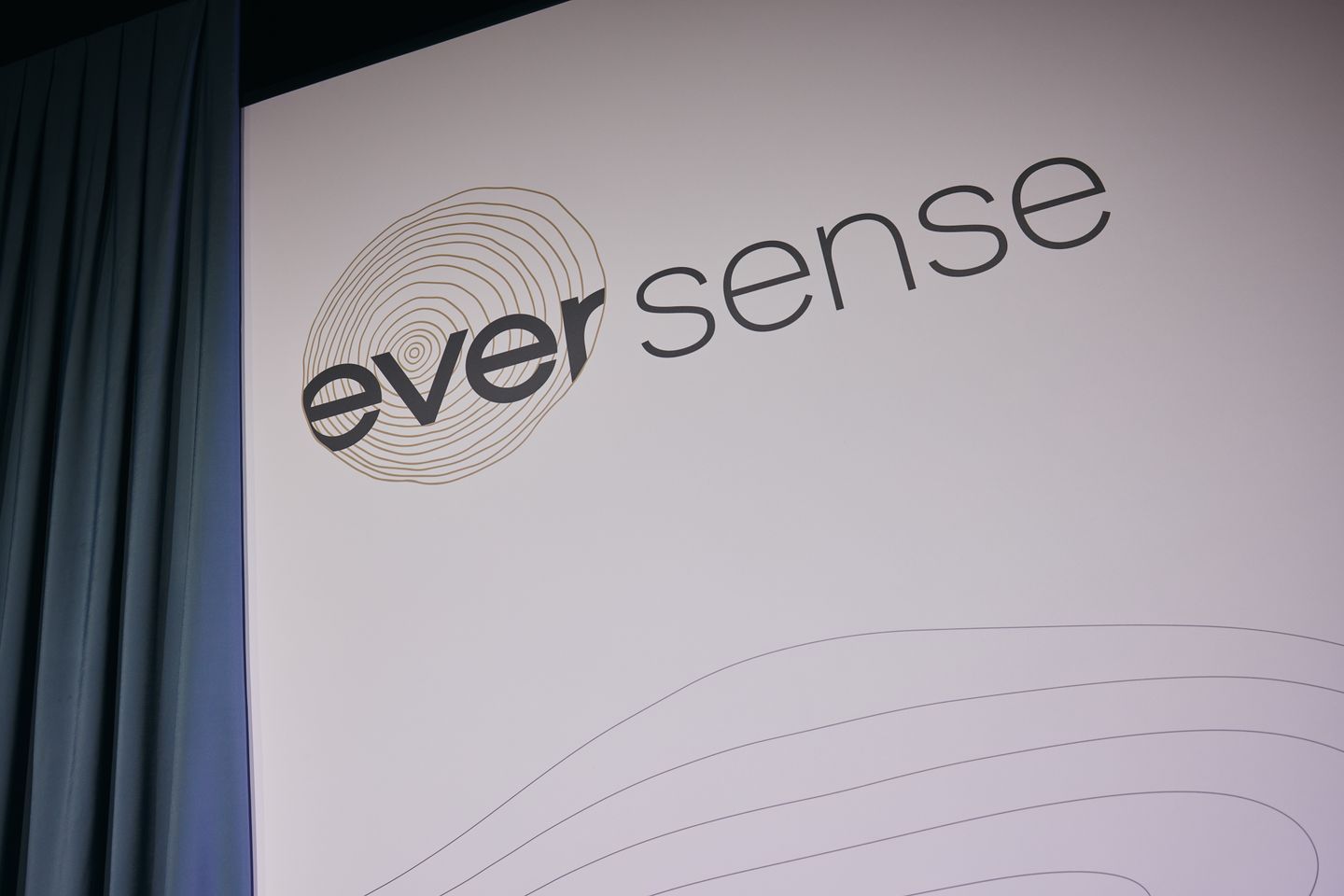 Egger Eversense