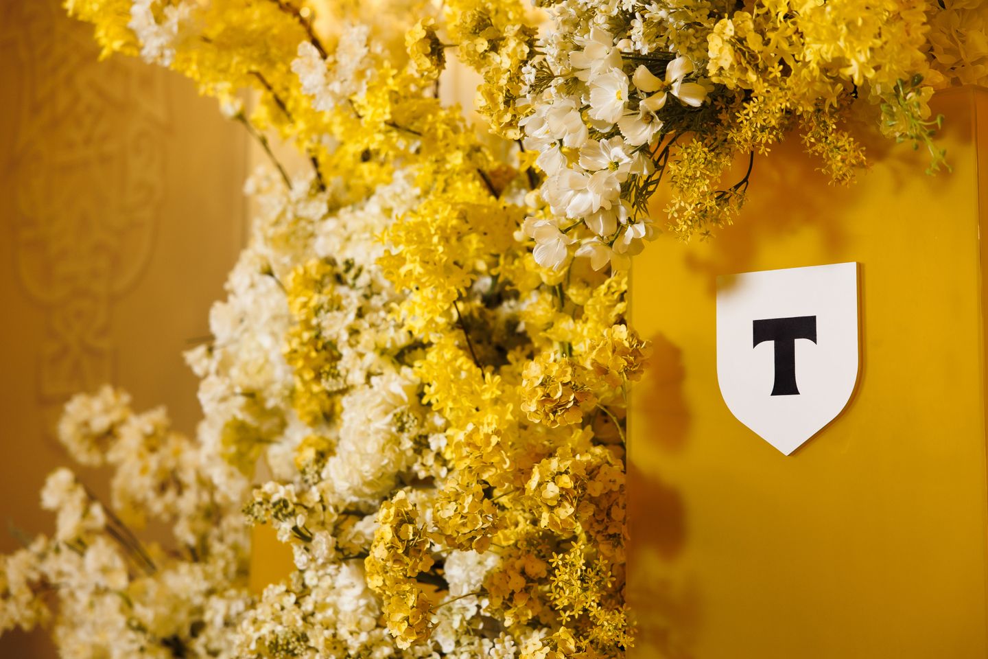 T Bank x Bolshoi | Les Saisons Russes