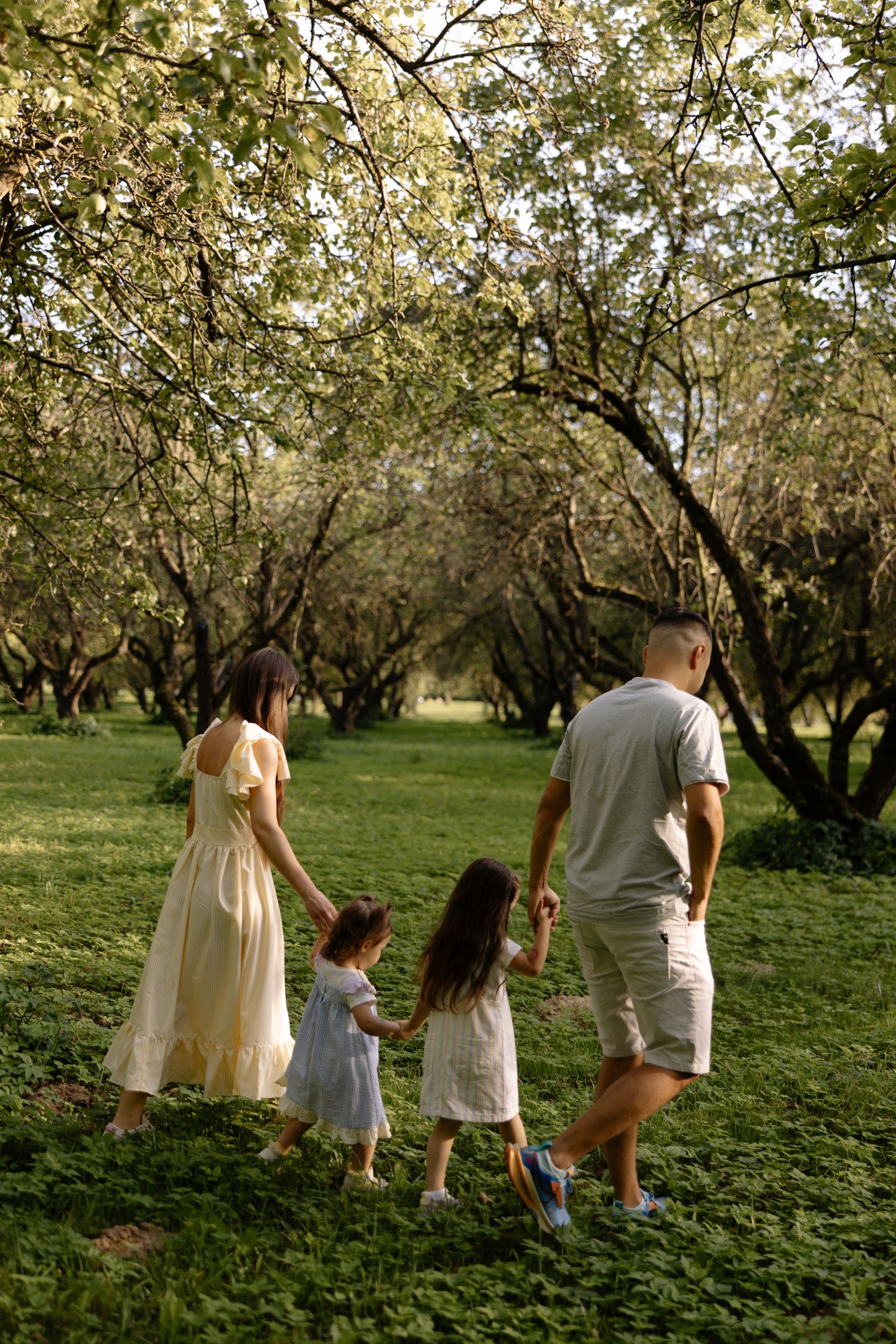Family цвет