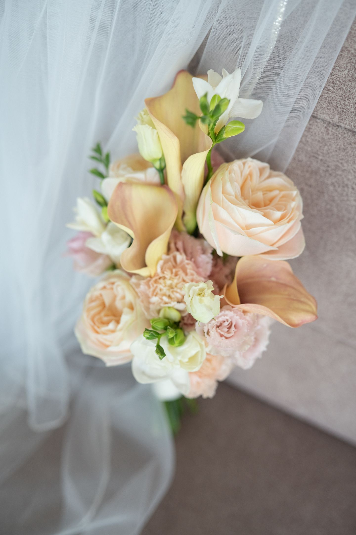 Вера & Герман      Wedding