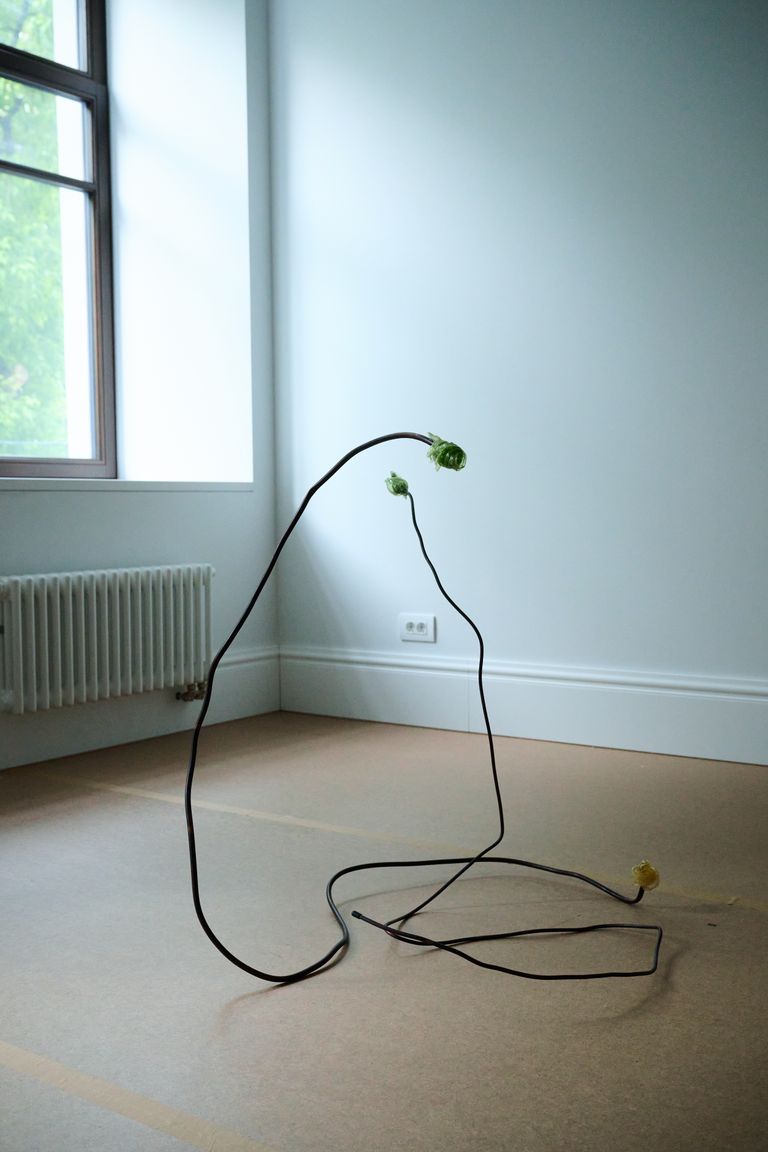 Escape, installation view